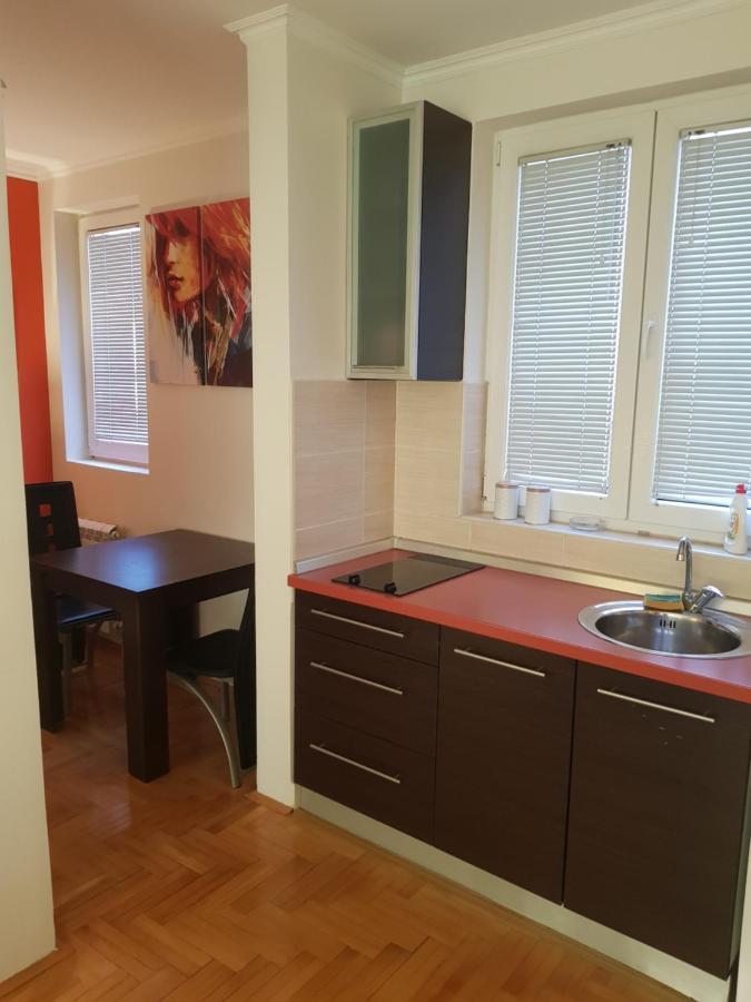 Rajiceva 5- Apartman Sa Prostranom Terasom I Garaznim Mestom クラグイェヴァツ エクステリア 写真