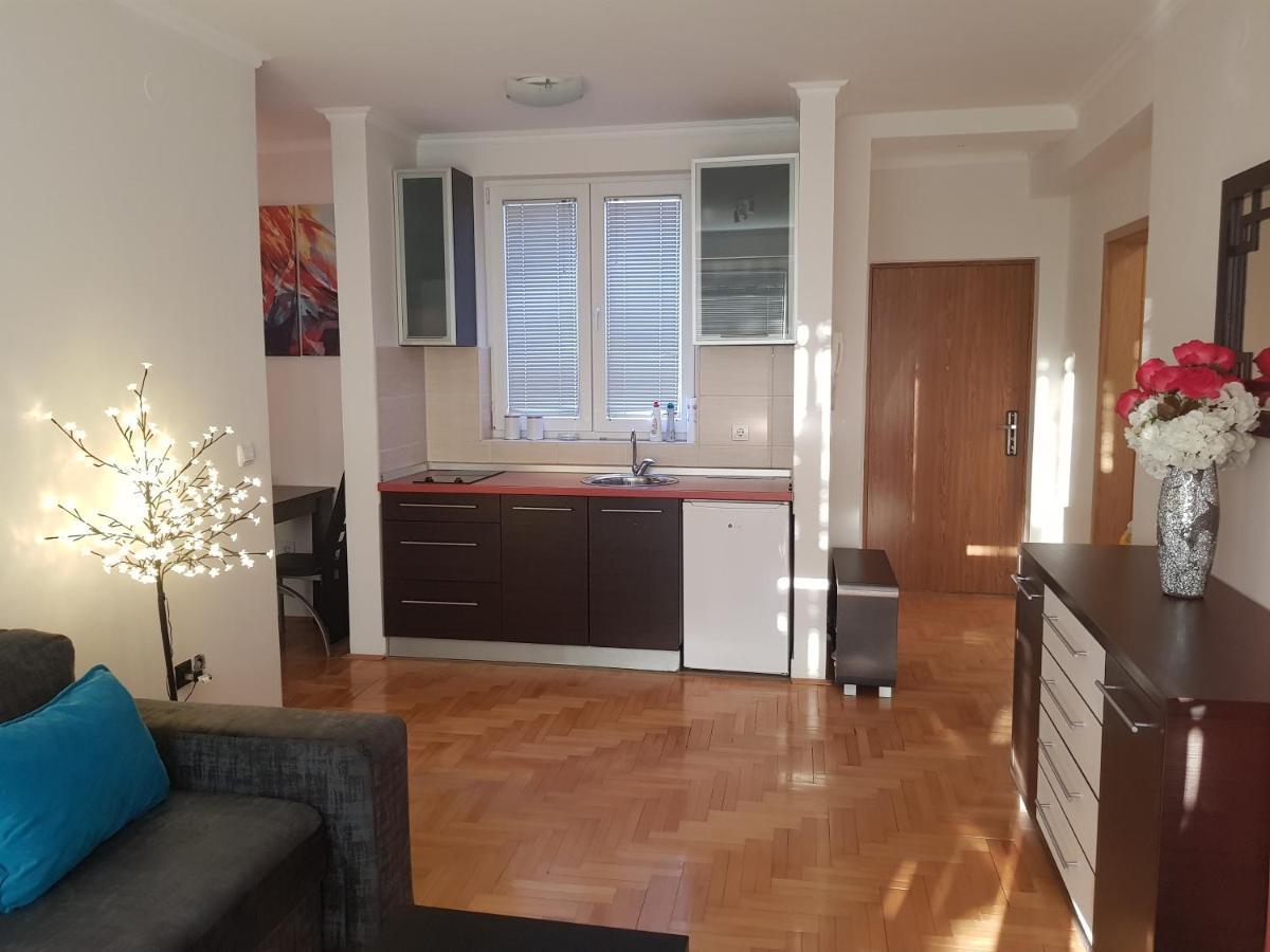 Rajiceva 5- Apartman Sa Prostranom Terasom I Garaznim Mestom クラグイェヴァツ エクステリア 写真
